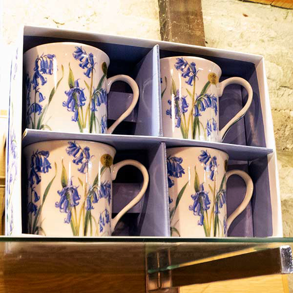 4 piece bluebell mug set