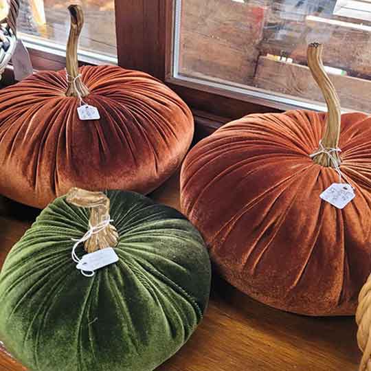 rust-green-velevet-pumpkins-29.95
