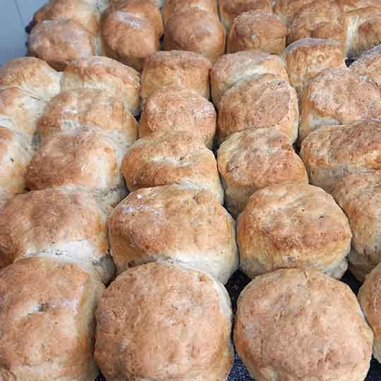 Freshly-baked-scones