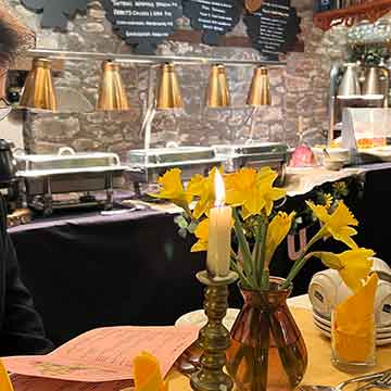 Daffodils-and-lights