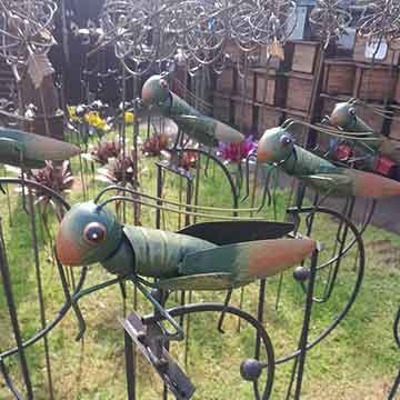 Garden-locusts-and-flowers