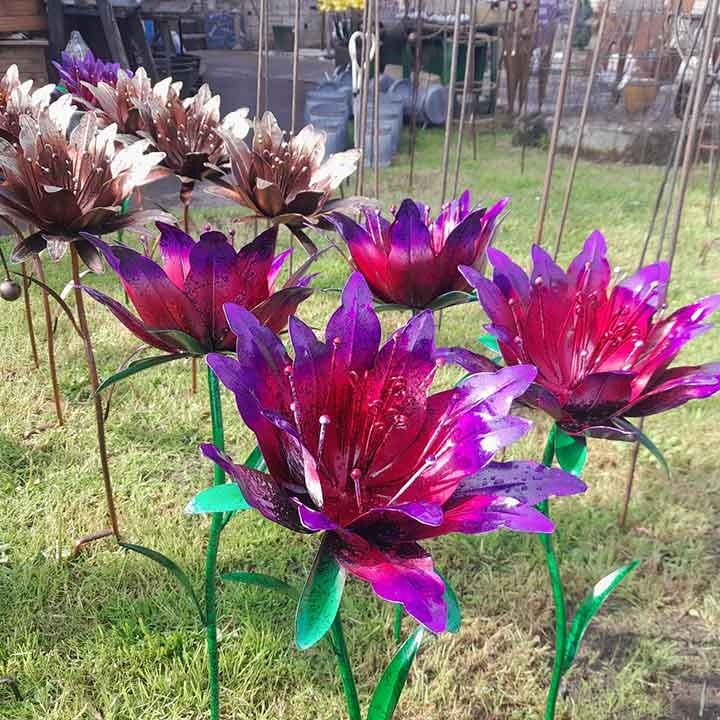 Pink-and-bronze-gareden-flowers