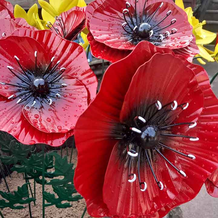 Poppies-and-daffodils-