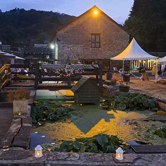 Wedding-perform-2